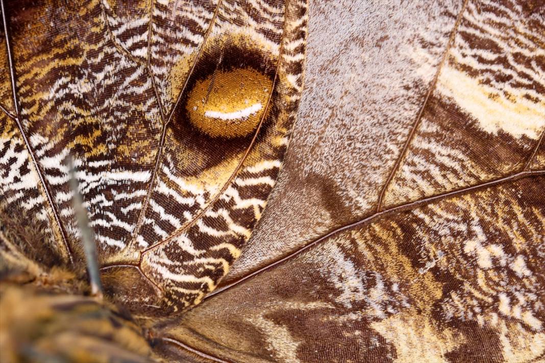 Konya’nın ünlü bahçesindeki detaylar tüyler ürpertti: İyi ki küçükler 23
